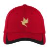 Pique Colorblock Cap Thumbnail