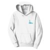 Youth Fan Favorite Fleece Pullover Hooded Sweatshirt Thumbnail